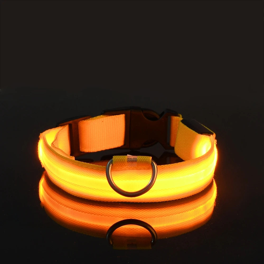 LED Night Safety Dog Leash & Collar | Glow in the Dark