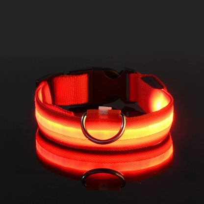 LED Night Safety Dog Leash & Collar | Glow in the Dark