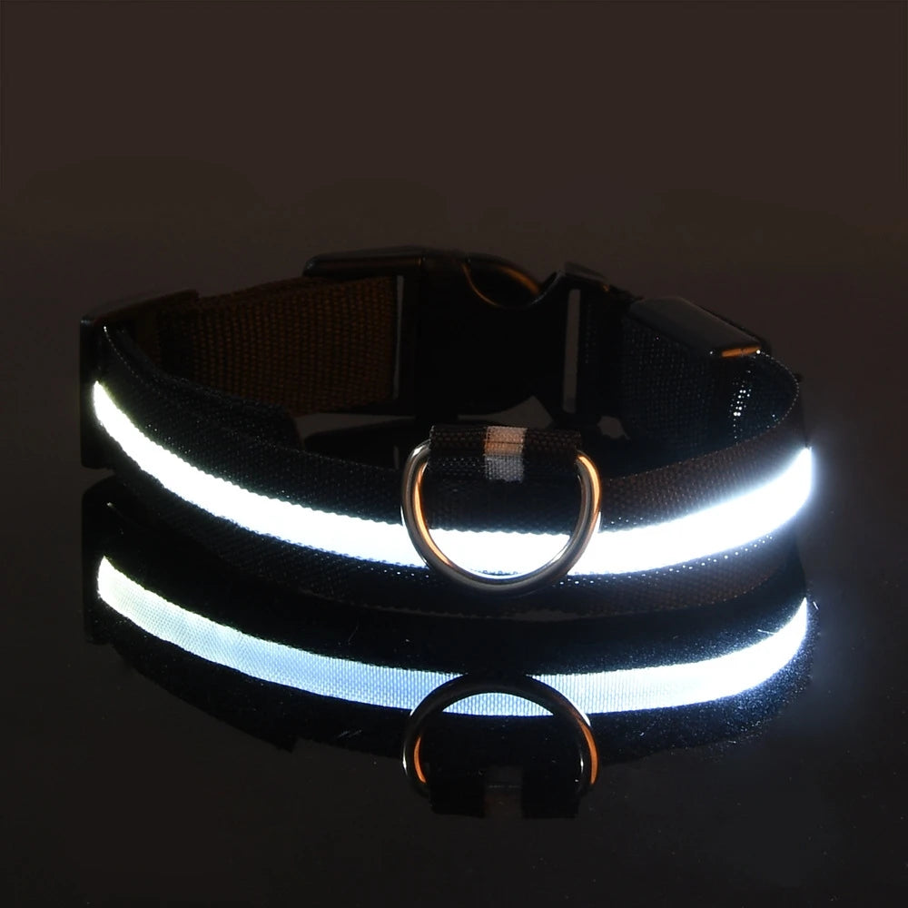 LED Night Safety Dog Leash & Collar | Glow in the Dark