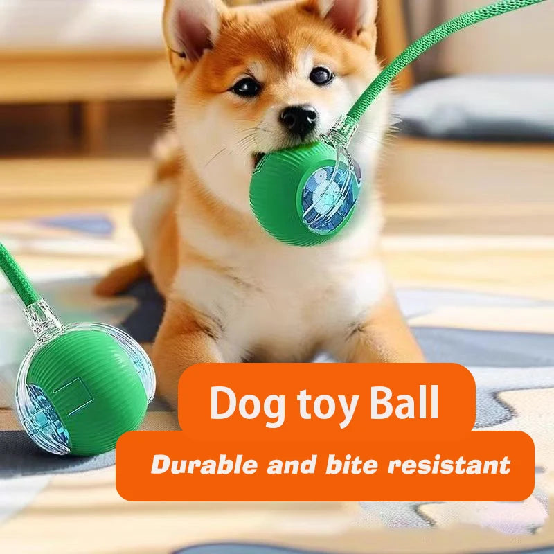 🐾 Smart Rolling Dog Ball Toy — Automatic Interactive Ball with Sound & Feather Tail