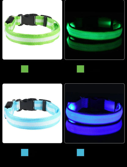 LED Night Safety Dog Leash & Collar | Glow in the Dark