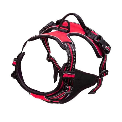 Dog Harness & Collar Set – Adjustable Vest Harness for All Breeds