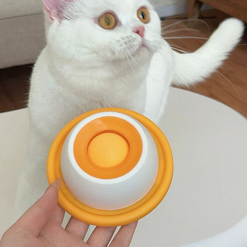 Anti-Spill Slow Feeder Lick Mat | Cat & Dog Toy