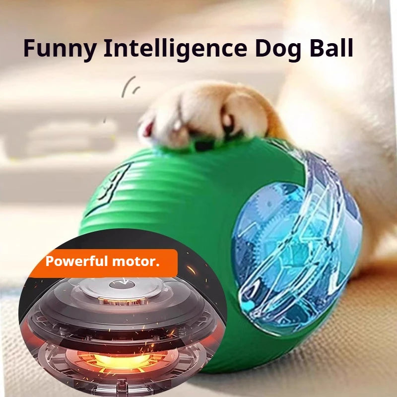 🐾 Smart Rolling Dog Ball Toy — Automatic Interactive Ball with Sound & Feather Tail