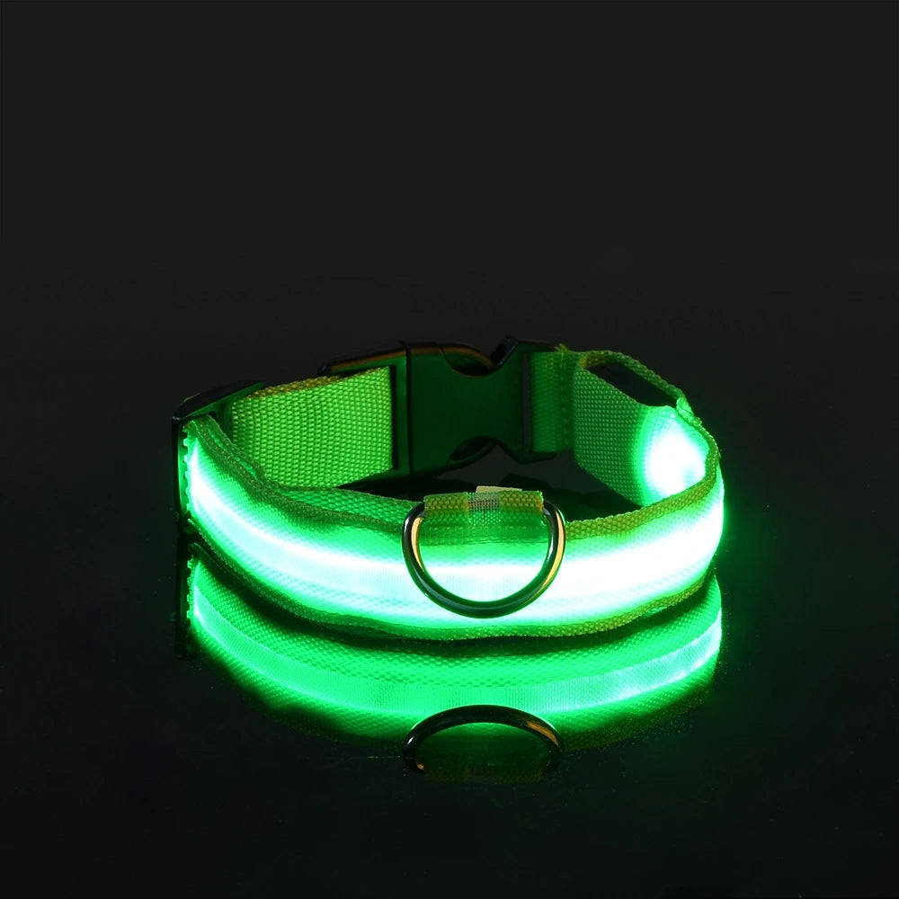 LED Night Safety Dog Leash & Collar | Glow in the Dark