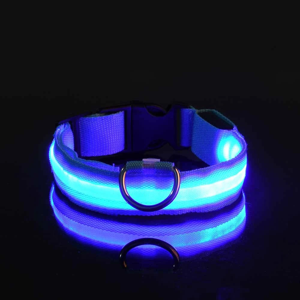 LED Night Safety Dog Leash & Collar | Glow in the Dark