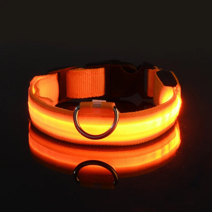 LED Night Safety Dog Leash & Collar | Glow in the Dark