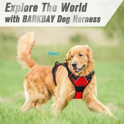 Dog Harness & Collar Set – Adjustable Vest Harness for All Breeds