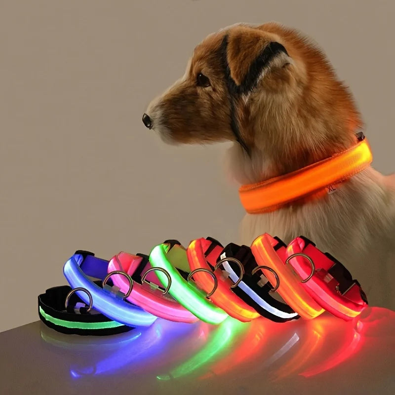 LED Night Safety Dog Leash & Collar | Glow in the Dark