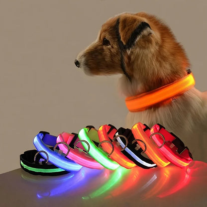 LED Night Safety Dog Leash & Collar | Glow in the Dark