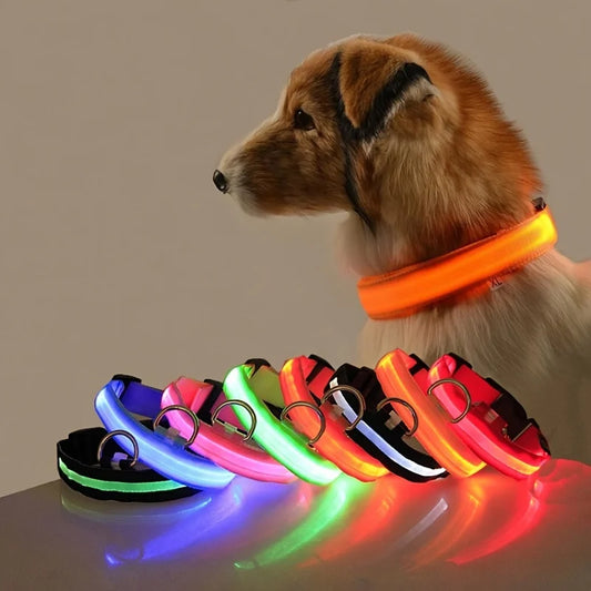 LED Glow Dog Leash & Collar – Night Safety Flashing Light for Evening Walks