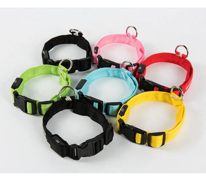 LED Night Safety Dog Leash & Collar | Glow in the Dark