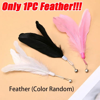 Cat Teaser Pole with Feather Bell | Interactive Cat Toy