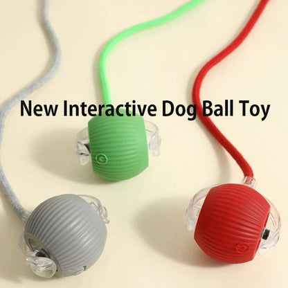 🐾 Smart Rolling Dog Ball Toy — Automatic Interactive Ball with Sound & Feather Tail