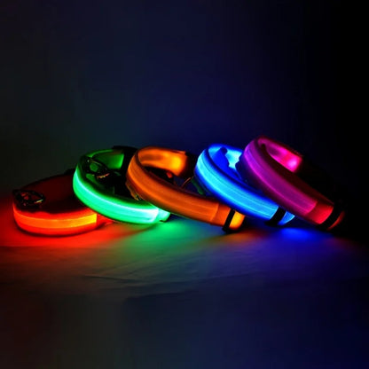LED Night Safety Dog Leash & Collar | Glow in the Dark