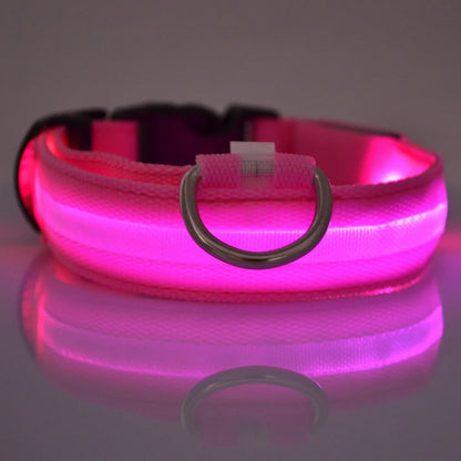 LED Night Safety Dog Leash & Collar | Glow in the Dark