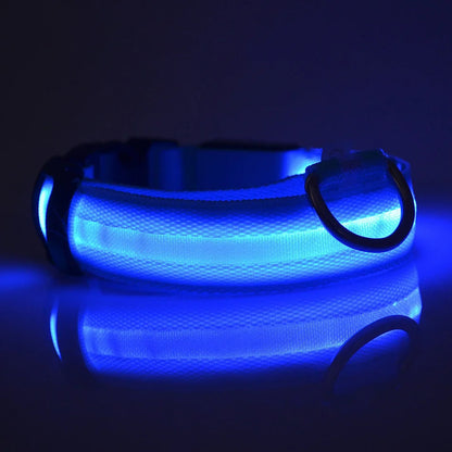 LED Night Safety Dog Leash & Collar | Glow in the Dark