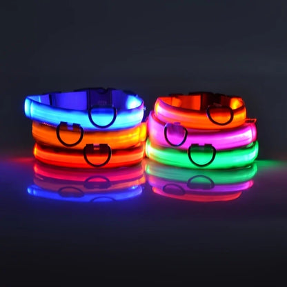 LED Night Safety Dog Leash & Collar | Glow in the Dark