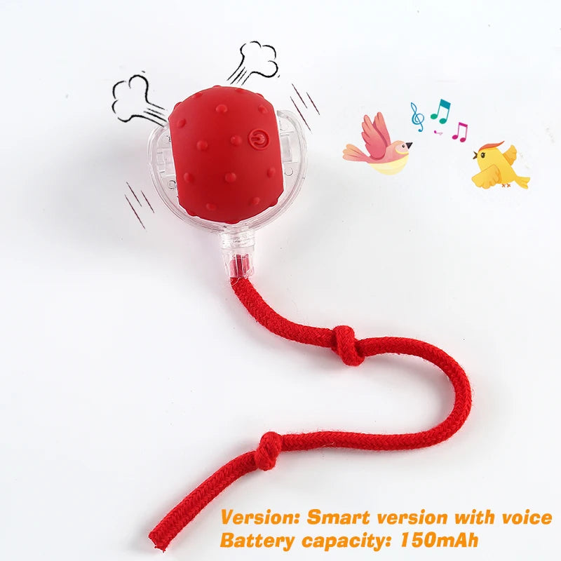 🐾 Smart Rolling Dog Ball Toy — Automatic Interactive Ball with Sound & Feather Tail