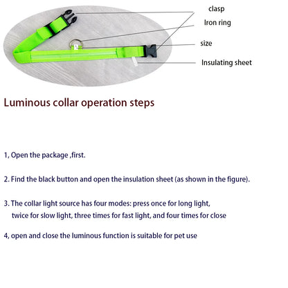 LED Night Safety Dog Leash & Collar | Glow in the Dark