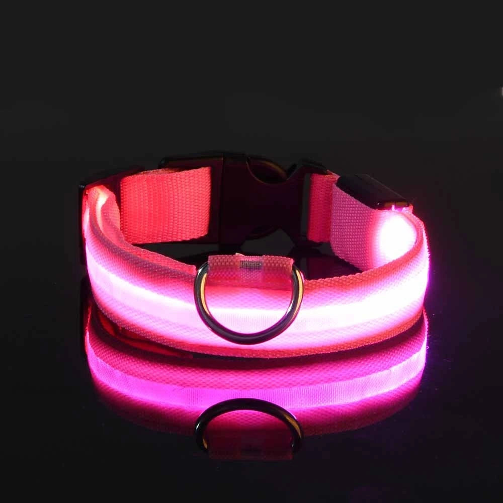 LED Night Safety Dog Leash & Collar | Glow in the Dark