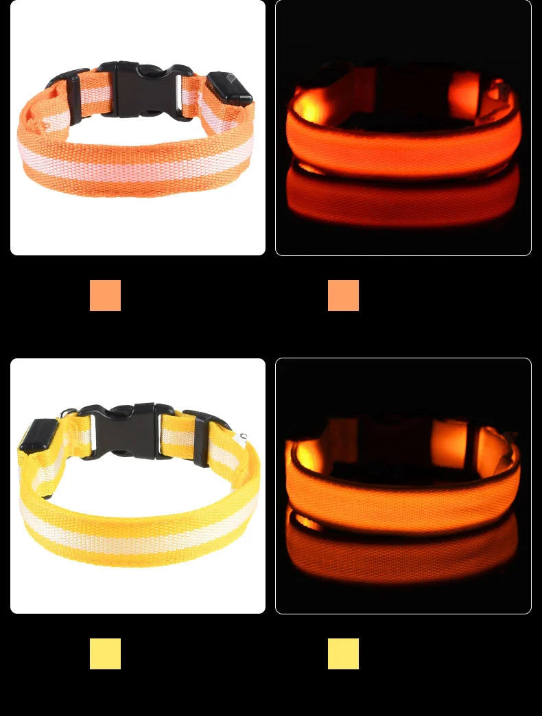 LED Night Safety Dog Leash & Collar | Glow in the Dark