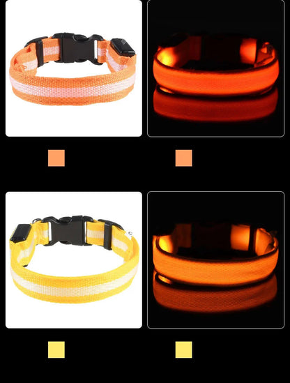 LED Night Safety Dog Leash & Collar | Glow in the Dark