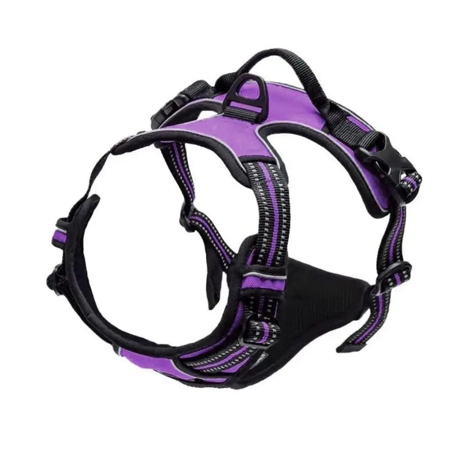 Dog Harness & Collar Set – Adjustable Vest Harness for All Breeds