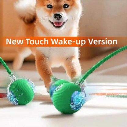 🐾 Smart Rolling Dog Ball Toy — Automatic Interactive Ball with Sound & Feather Tail