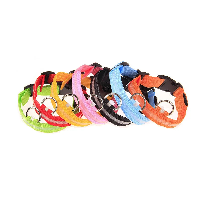 LED Night Safety Dog Leash & Collar | Glow in the Dark