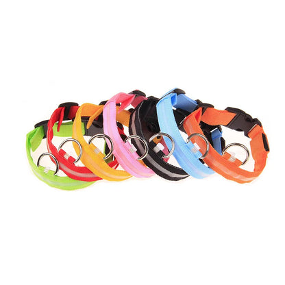 LED Night Safety Dog Leash & Collar | Glow in the Dark