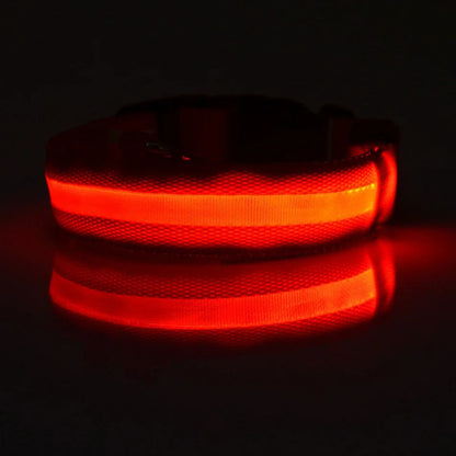 LED Night Safety Dog Leash & Collar | Glow in the Dark