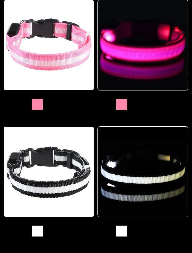 LED Night Safety Dog Leash & Collar | Glow in the Dark