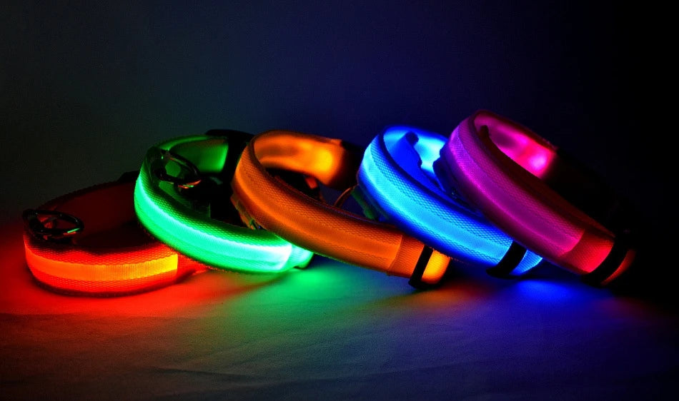 LED Night Safety Dog Leash & Collar | Glow in the Dark
