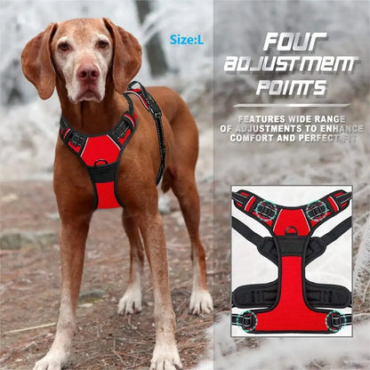 Dog Harness & Collar Set – Adjustable Vest Harness for All Breeds