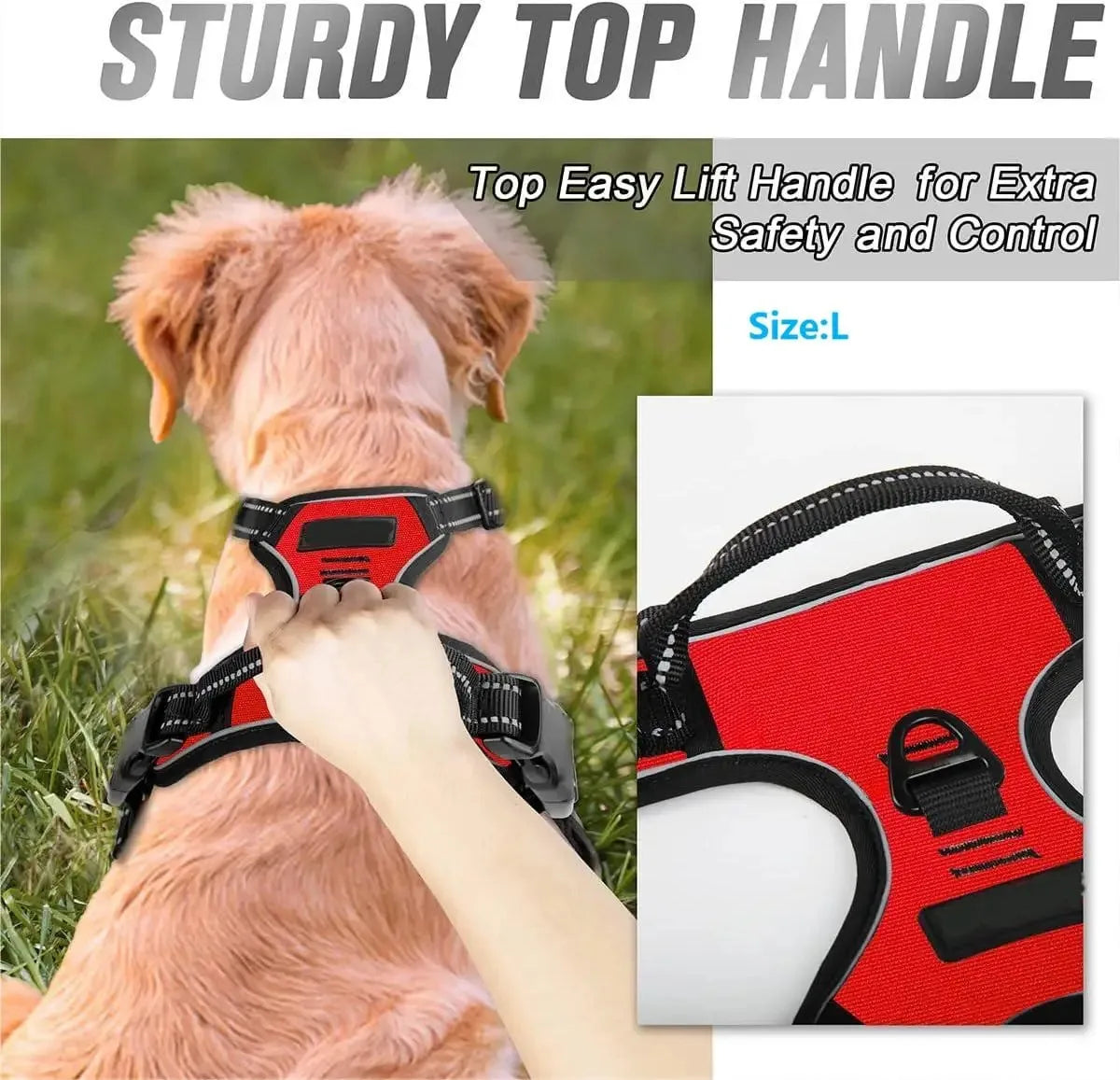 Dog Harness & Collar Set – Adjustable Vest Harness for All Breeds